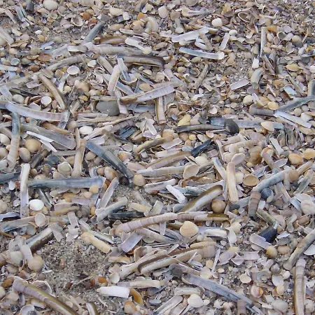 Haus Nordseeresidenz 34 Appartement